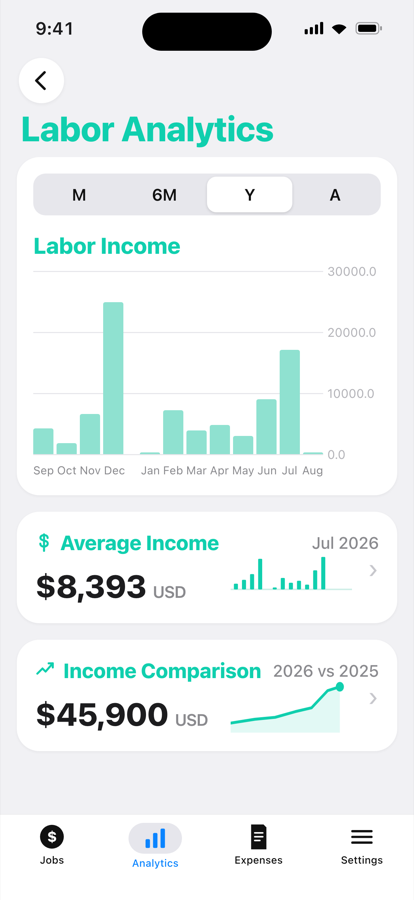 LineItems Analytics showing yearly income chart and stats